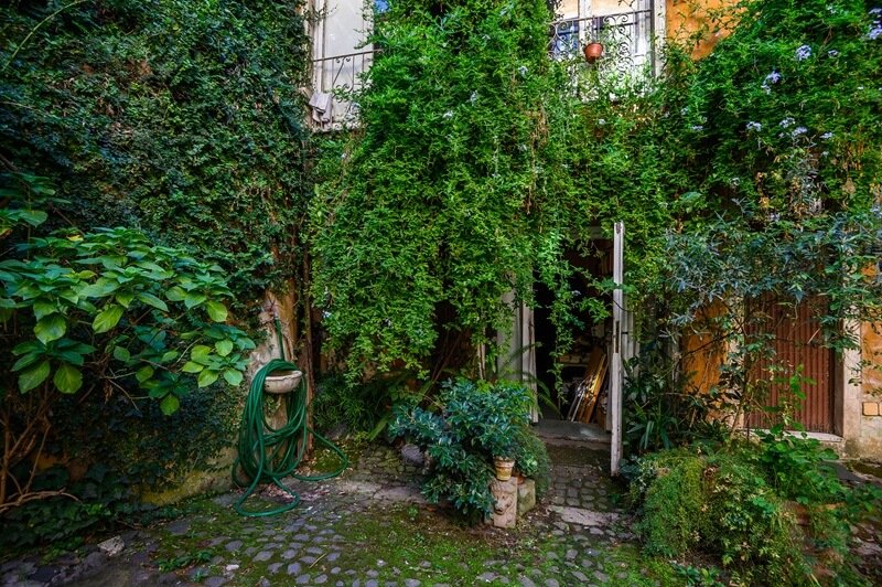 jardin maison paris