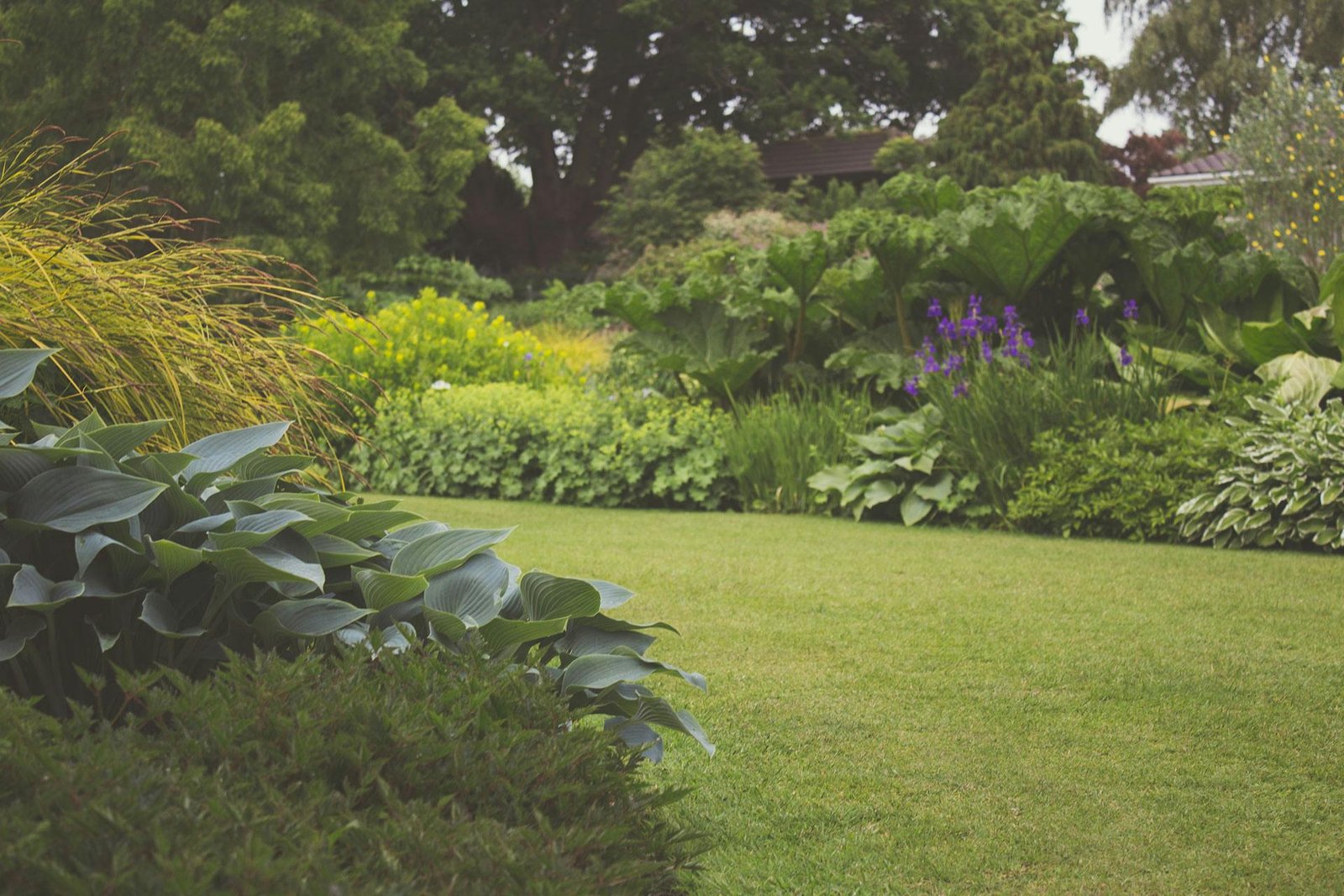 un jardin bien entretenu