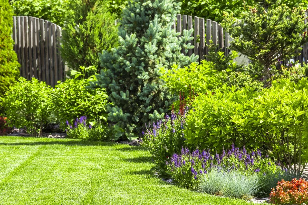 Photo amenagement de jardin 1