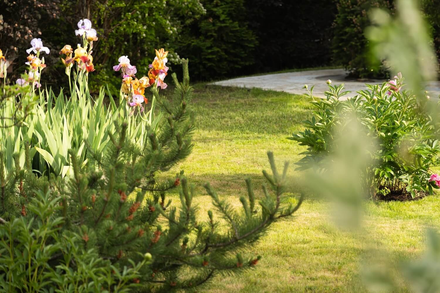 jardin au mois de février