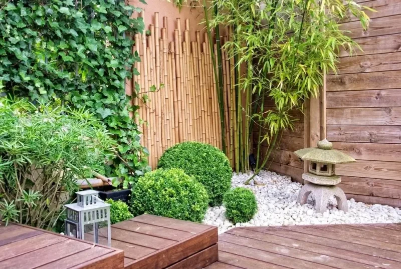 Petit jardin zen japonais avec bambous, buis taillés en boule, lanterne en pierre et galets blancs sur terrasse en bois