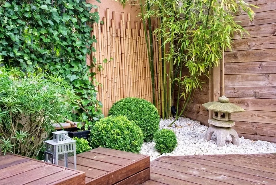 Petit jardin zen japonais avec bambous, buis taillés en boule, lanterne en pierre et galets blancs sur terrasse en bois