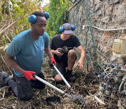 Deux jardiniers-paysagistes équipés de protections auditives réalisant des travaux de débroussaillage et de coupe à la cisaille dans un jardin
