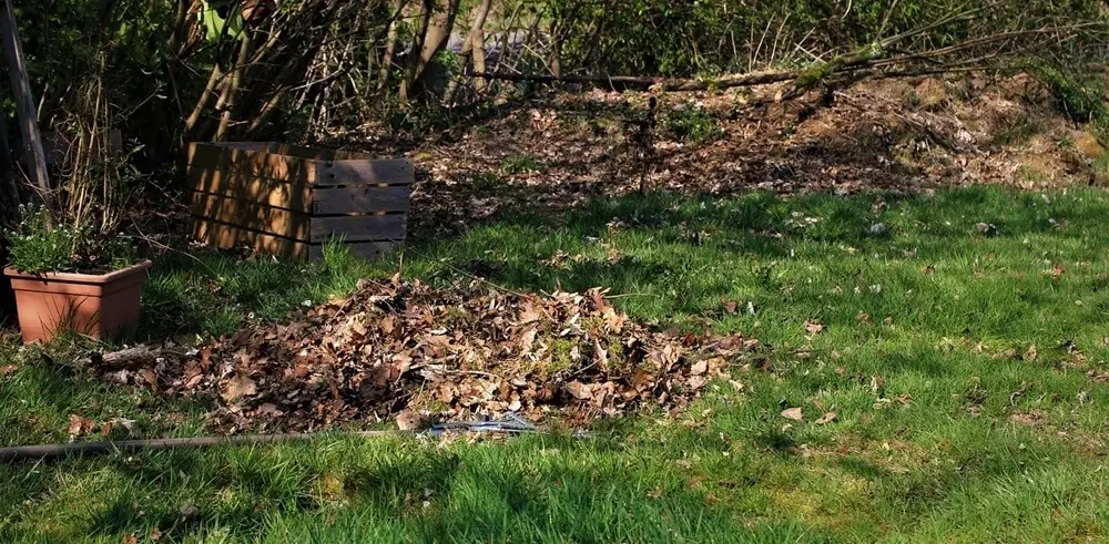 Paysagiste 94 réalisant l'évacuation des déchets verts dans un jardin