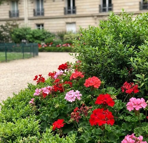 Aménagement floral d'un square parisien par un paysagiste à Paris 11