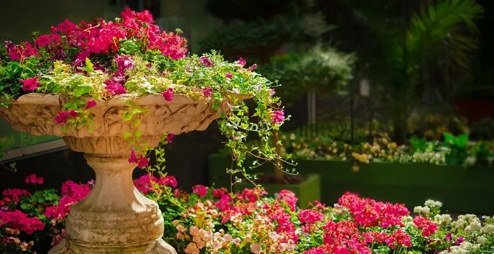 Paysagiste à Paris 12 au jardin de Reuilly, vasque en pierre ornée de fleurs