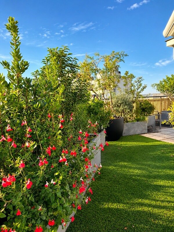 Création paysagère sur un toit-terrasse à Paris avec jardinières végétalisées