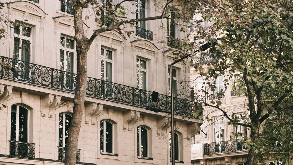Rue parisienne bordée d'arbres d'alignement plantés sur le trottoir