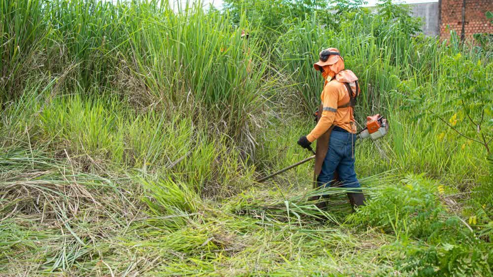 Débroussaillage d'un terrain envahi à la débroussailleuse, en tenue de protection