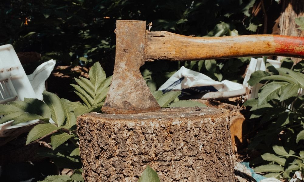 Hache plantée dans une souche d'arbre, outil pour couper les racines
