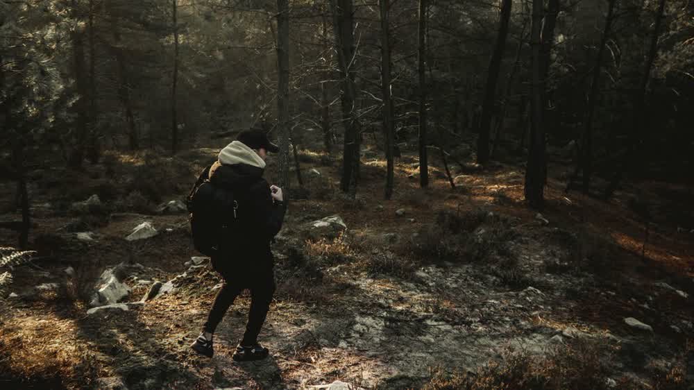 Sentier dans la forêt de Fontainebleau, massif classé à risque d'incendie en Île-de-France