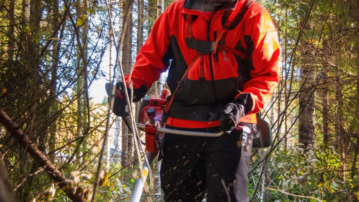 Agent équipé d'une débroussailleuse coupant les broussailles en lisière de forêt